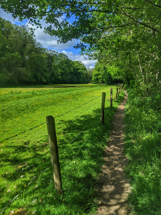 Footpath at Boscarne