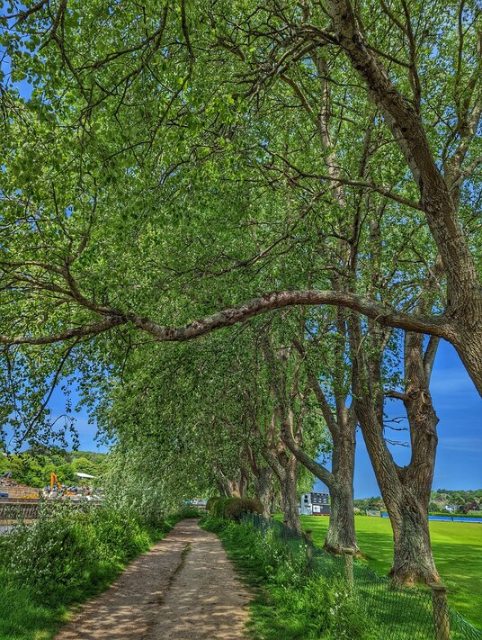 Path beside the cricket ground