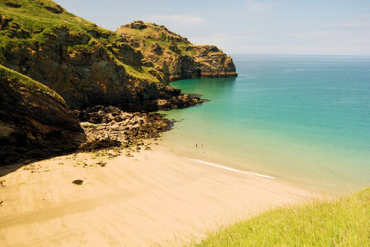 Bossiney Haven at low tide