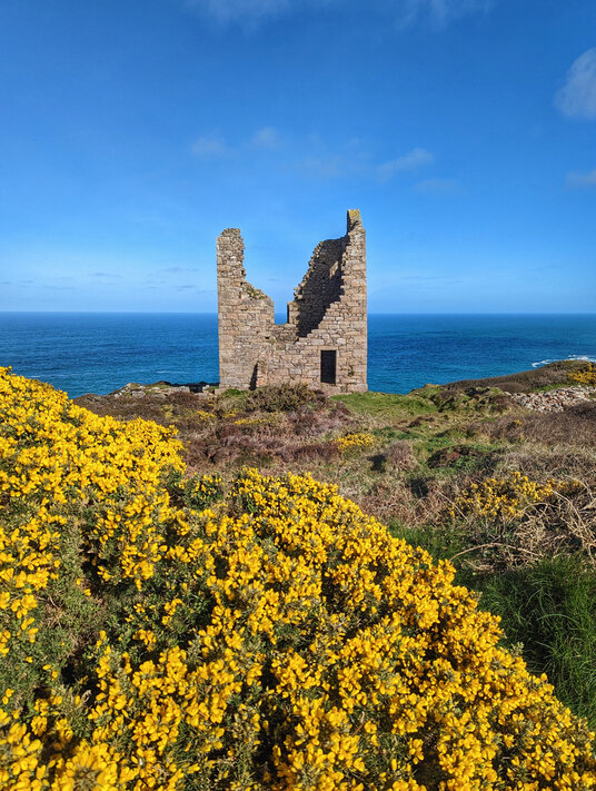 Wheal Edwards