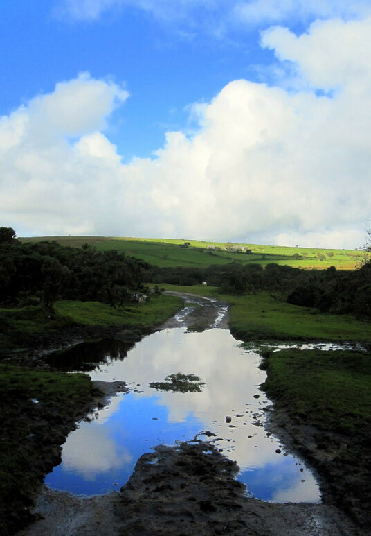 Reflection in a puddle on track near Bowithick