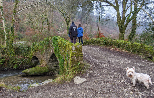 Bridge over the West Looe River near Duloe