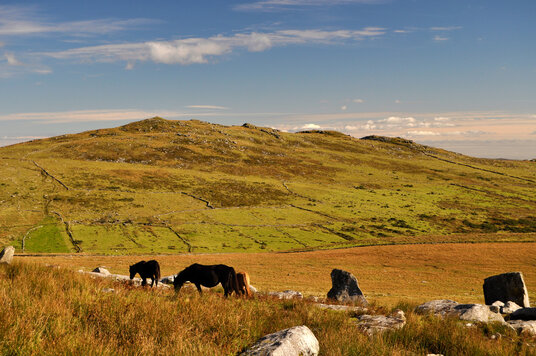 Brown Willy from the slopes of Rough Tor