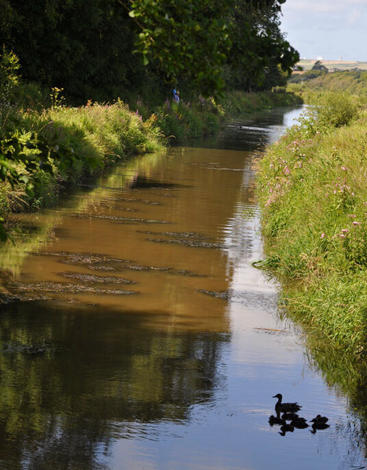 Canal near Rodd's Bridge