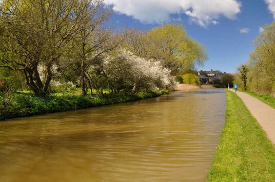 Bude Canal
