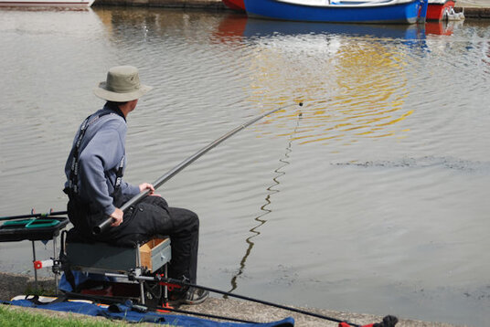 Coarse fishing on the canal