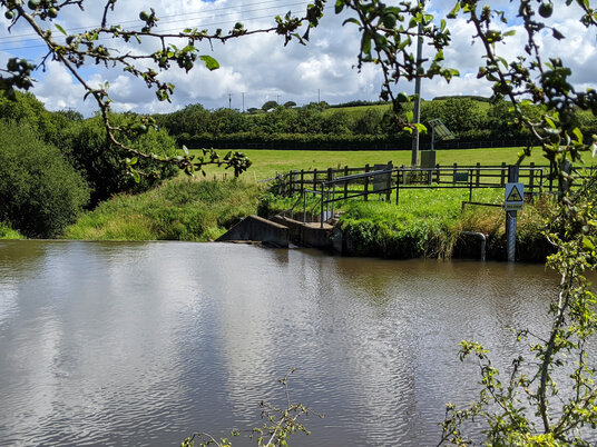 Bude fish pass