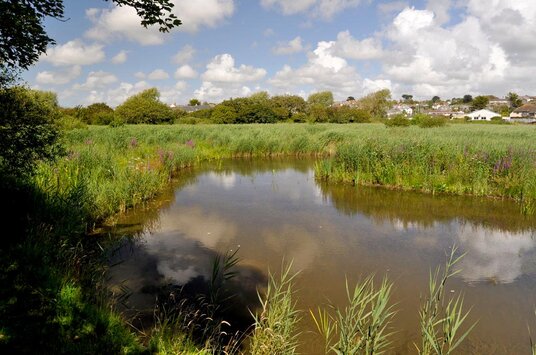 Bude Marshes