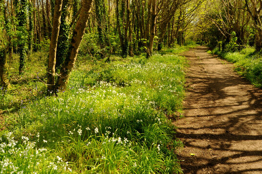 Footpath from Budock Church