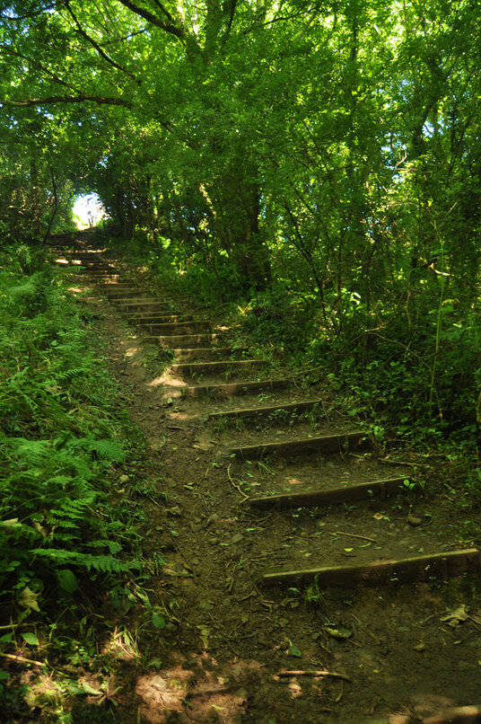 Steps from the Tidna Valley