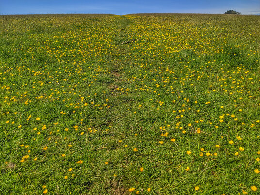 Footpath to Gorran Church