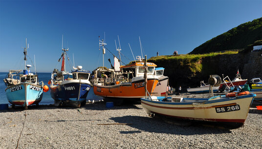 Cadgwith Cove