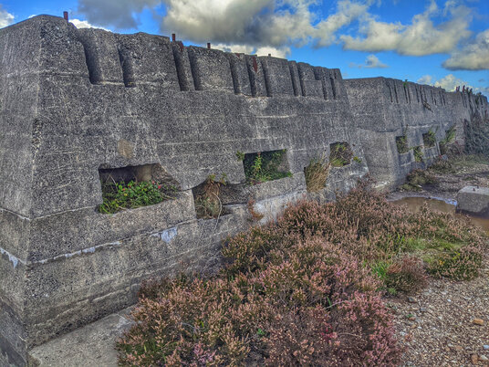 Remains of Californian Stamps