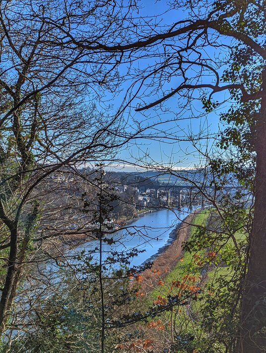 View over to Calstock