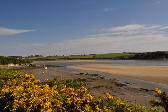Camel Estuary near Little Petherick Creek