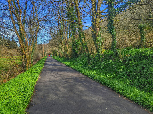 Camel Trail at Polbrock