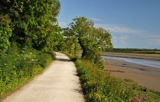 Camel Trail at Tregunna