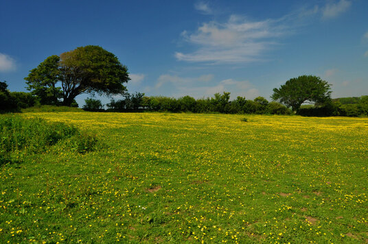 Fields near Fenteroon