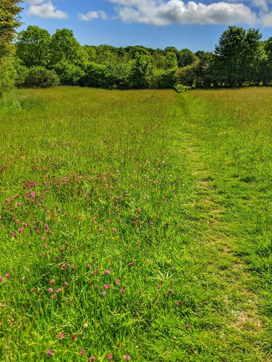 Field near Camelford