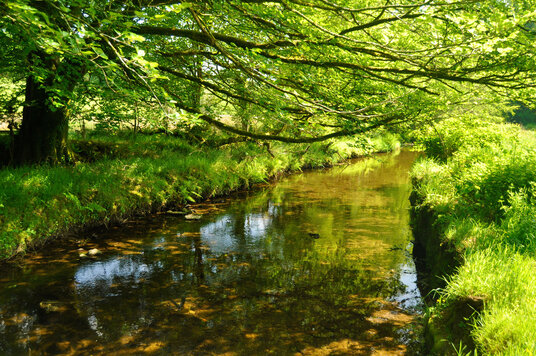 River Camel near Camelford