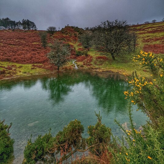 Pond  at Caradon Hill