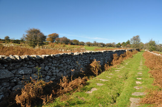 Liskeard and Caradon Railway