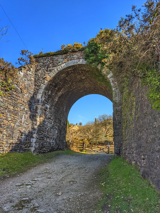 Railway bridge near South Caradon Mine