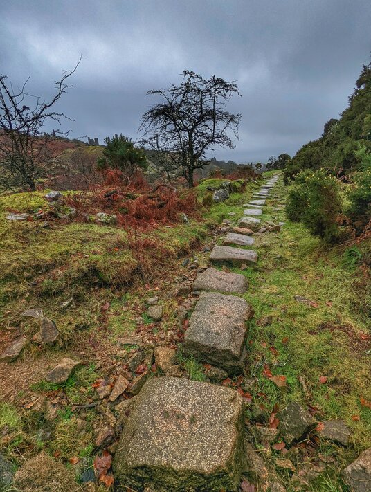 Liskeard and Caradon Railway in winter