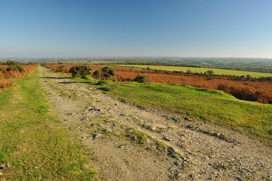 Tramway at South Caradon Mine