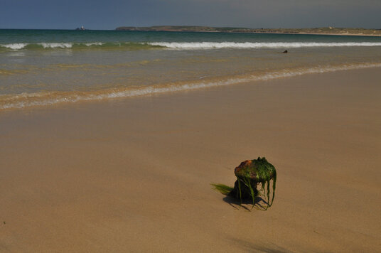 Wreck of the SS Vulture at Carbis Bay