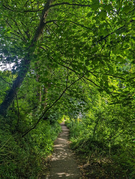 Path in the Carbis Valley