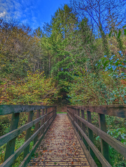 Bridge over the stream