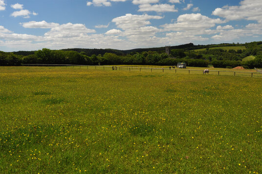 Approaching Cardinham