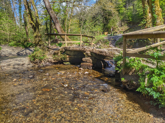 Clapper bridge in Cardinham Woods