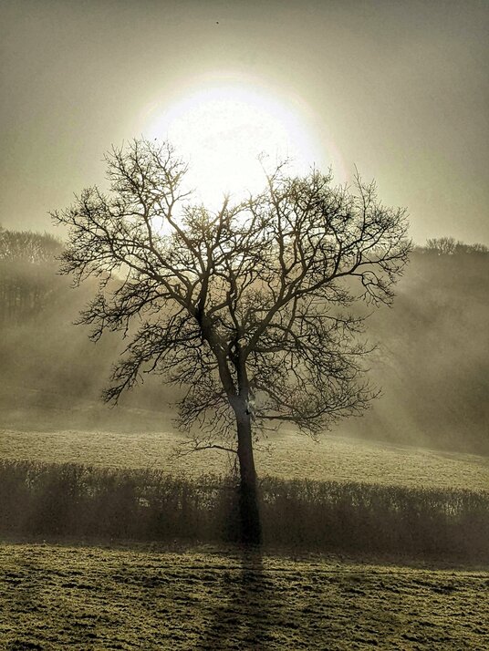 Field near Cardinham Church in winter