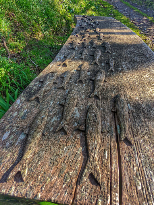 Bench near Carleon Cove