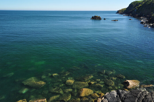 View over Carleon Cove