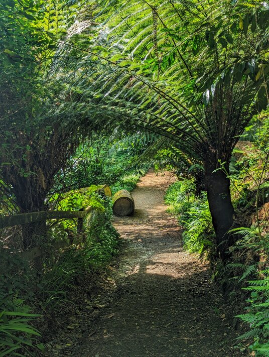 The Carminion Valley