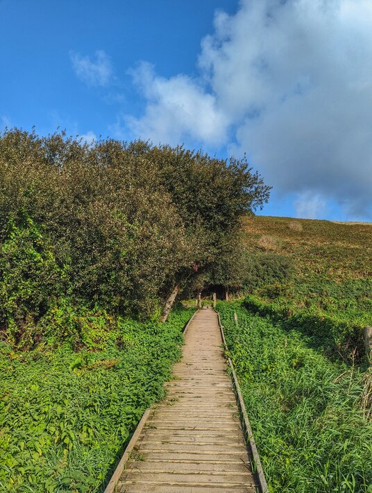 Carminowe Creek walkway
