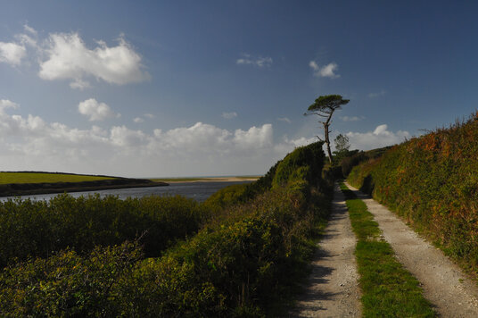 Track alongside Carminowe Creek