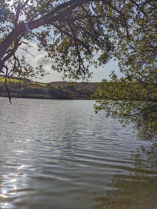 View from Carminowe Creek