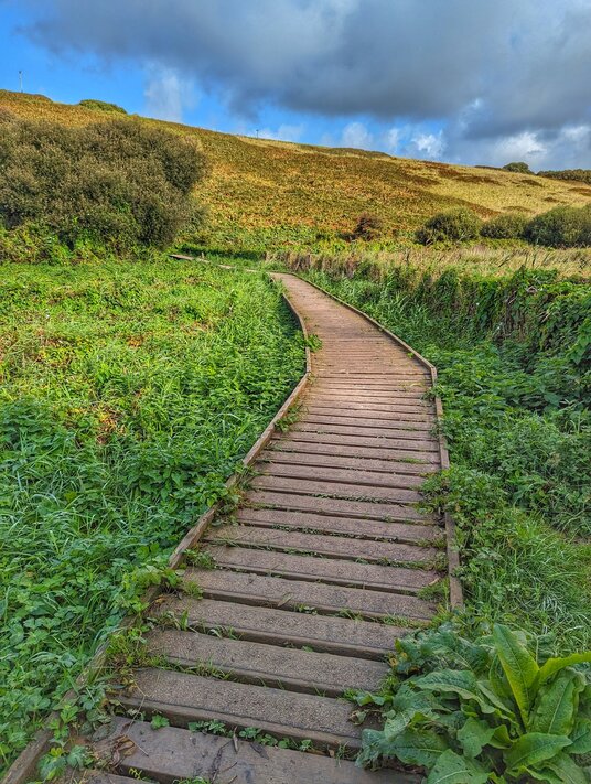 Wooden walkway along Carminowe Creek