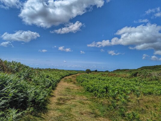 Footpath around Castle-An-Dinas
