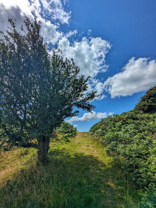 Path at Castle-An-Dinas