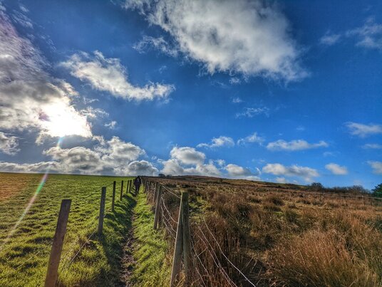 Footpath at Castle Downs