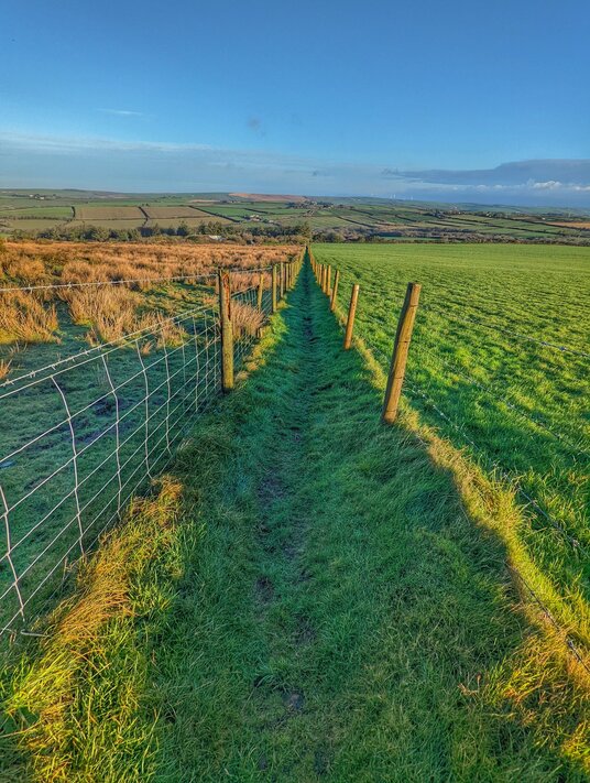 Footpath at Castle Downs