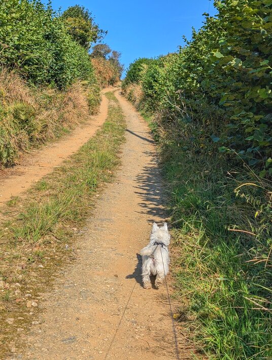 Footpath near the Church