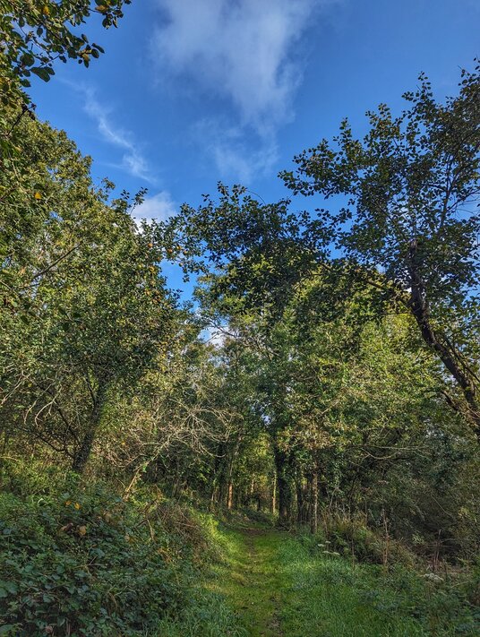 Wooded path near Chyvarloe