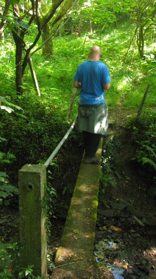 Footbridge in Cleave Valley