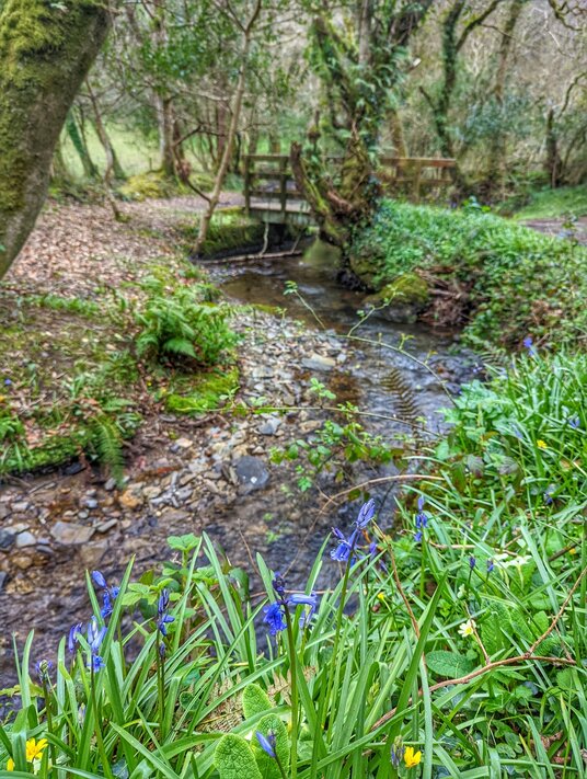 Stream at Clerkenwater